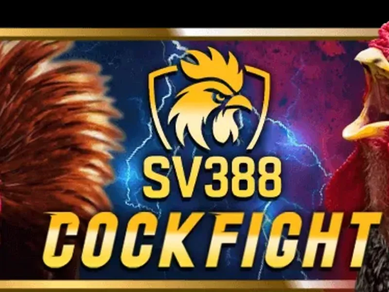 Hình ảnh minh họa xổ số và đá gà tại 789 bet